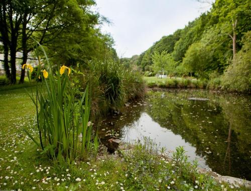 Rose in Vale Country House Hotel - image 2