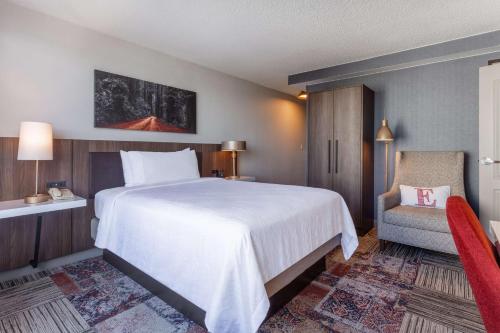 Hilton Garden Inn San Francisco/Oakland Bay Bridge - image 14