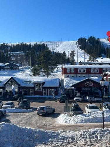 Изглед, Fjällglim36 (Fjallglim36) in Селен