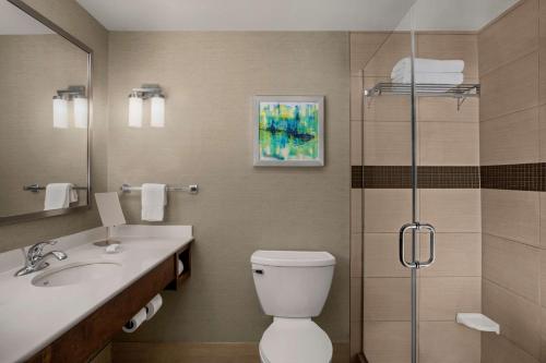 Hilton Garden Inn Lubbock - image 3