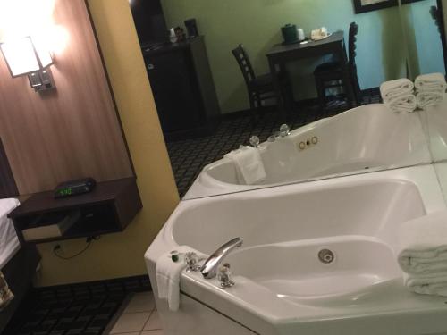 Badestamp, University Manor Inn near Buffalo Zoo