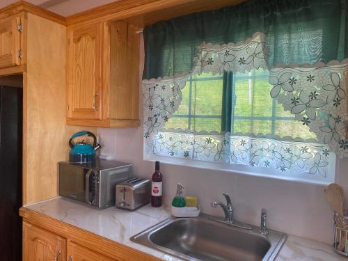 Cucina, Coral Cottage of Prospect in Kingstown