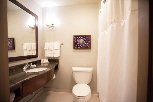 Hilton Garden Inn Covington/Mandeville - image 12