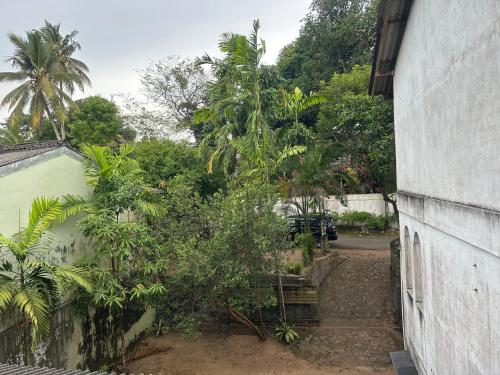 Mango Tree Budget Home Stay in Homagama