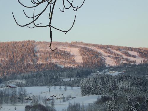 Sogn Gjestegard - image 2