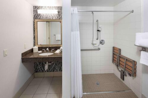 King Room with Roll-In Shower - Mobility Access