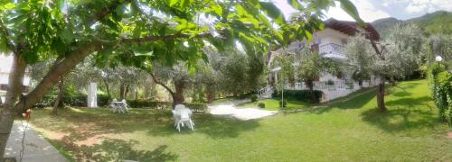  Viki Studios and Apartments in Skala Potamias
