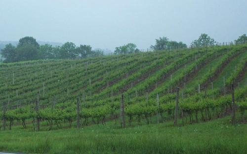 Hampton Inn Danville Hampton Inn Danville