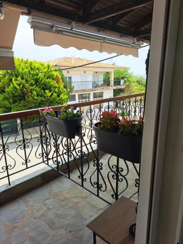 Studio Sozopoli Studio Sozopoli