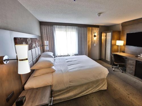 1 king bed