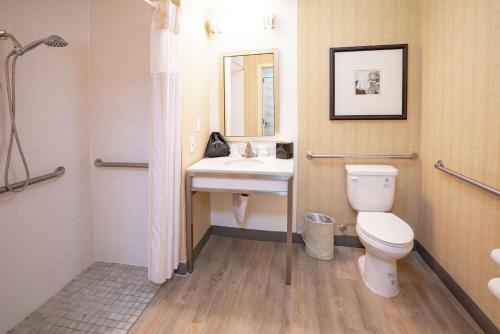 King Room with Roll-In Shower - Mobility Access