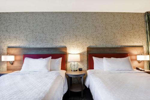 Home2 Suites By Hilton Daytona Beach Speedway - image 37