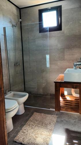 Duša, Cabañas Abedul (Cabanas Abedul) in Villa Lago Meliquina