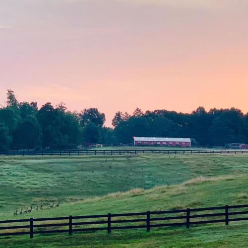 Shenandoah Wilderness Traveler in Gordonsville, USA
