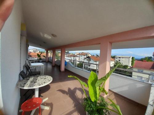 Vila Bolonja in ستروجا