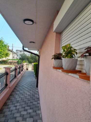 Vila Bolonja in ستروجا