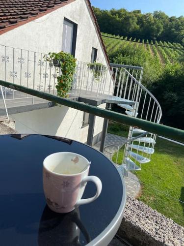 Im Wald in Gleiszellen-Gleishorbach