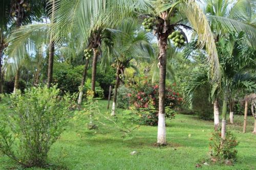 Stunning House! Villa Kalapiti - Blue Zone Costa Rica