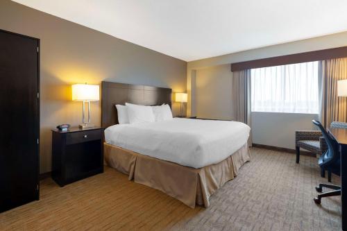 1 king bed