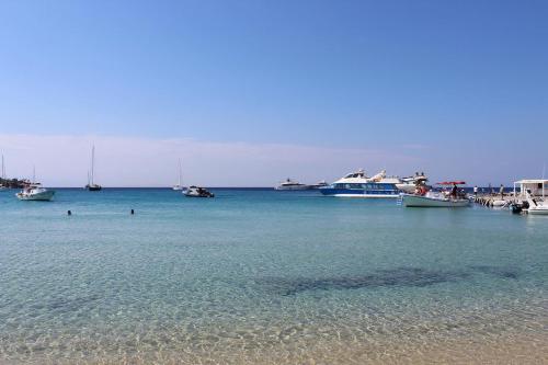 Acrogiali Beachfront Hotel Mykonos - image 5
