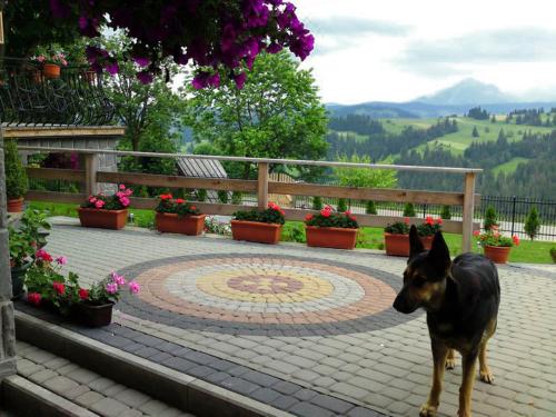 Goralska Chata photo
