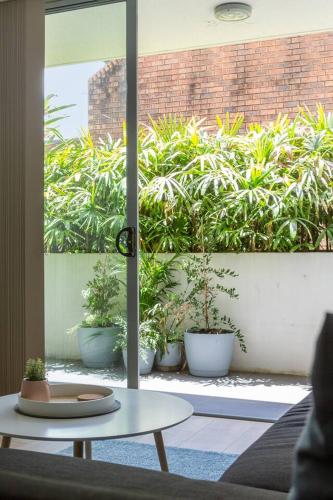 Sunshine Pacific - A Spacious Boutique Stay - image 12