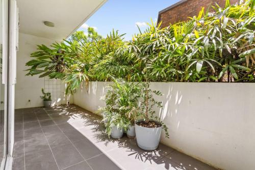 Sunshine Pacific - A Spacious Boutique Stay - image 8