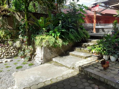 Riana's Homestay in Rantepao