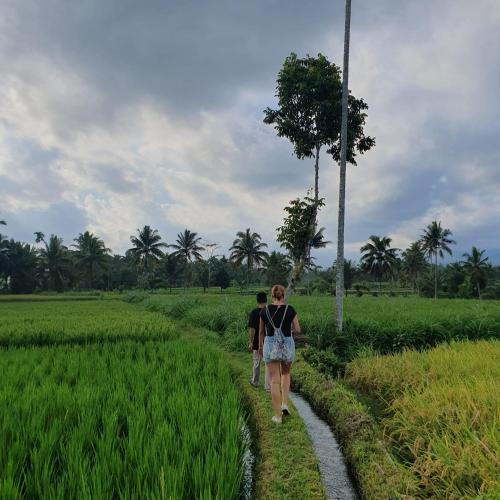 Peraja Bungalows Loyok