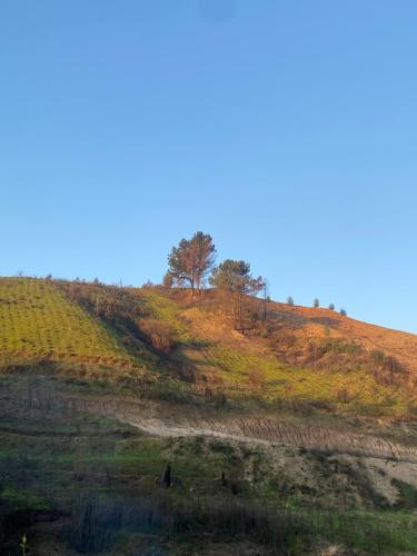 Cabaña El Rincón del Valle