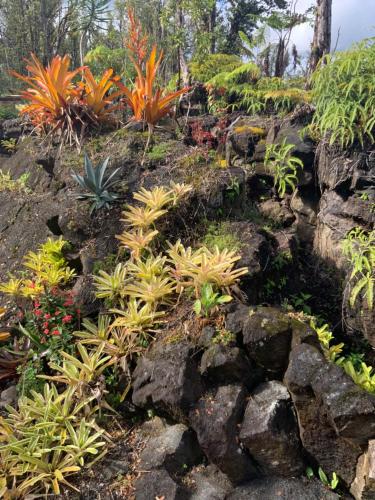 Exotic Garden cottage at amazing volcano fissure