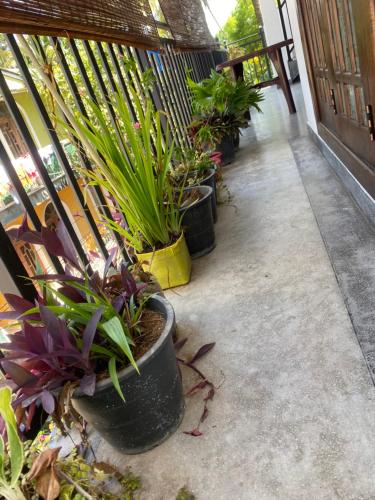 Villa 215, Weligama (fotografie 5)