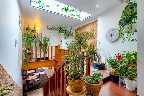 Garden in Town Hostel – Porto, KY