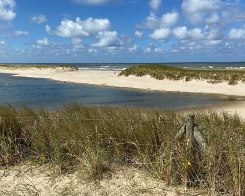 A környék, sunshine in Camperduin