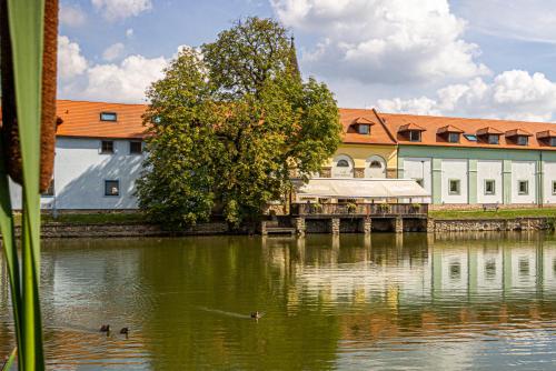 Hotel Čertousy - image 12