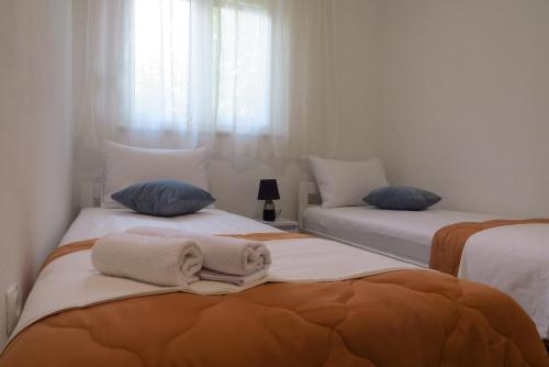 Apartman Niko - Apartment - Sinj