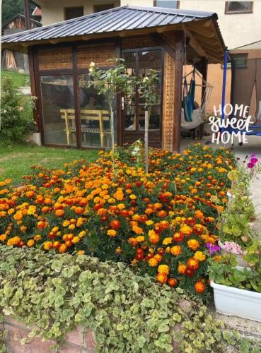 Guest House Visoko, Visoko
