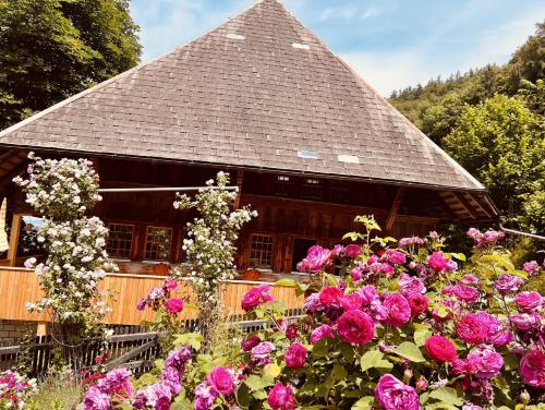 Alpaka-Ferienhaus Oenzlen