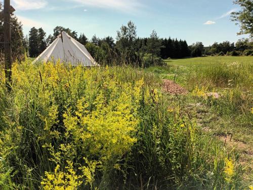 Glamping Kotitila Kiveinen