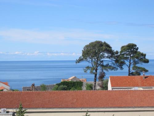 Guest House Maria Bilicic - image 10