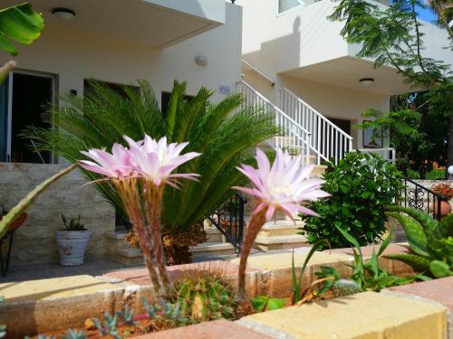 Astrofegia Apartments Near The Sea