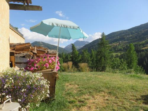 Studio en rez de chaussée, avec jardin partagé.