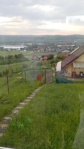 Tiny House Cluj with Jacuzzi