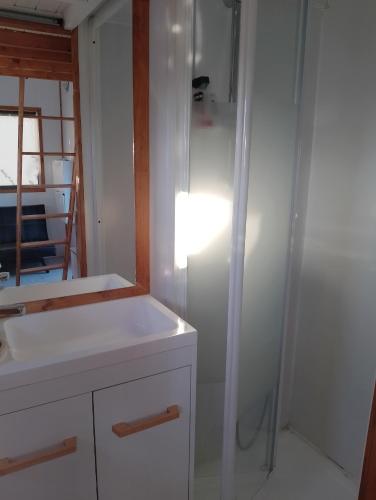 Tiny House Cluj with Jacuzzi