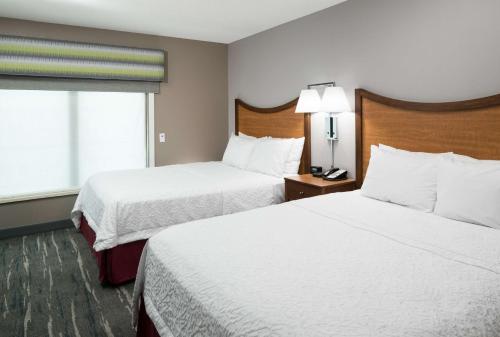 2 queen beds, 1 sofa bed