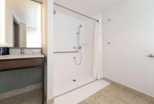 Hilton Garden Inn BWI Airport Hilton Garden Inn BWI Airport