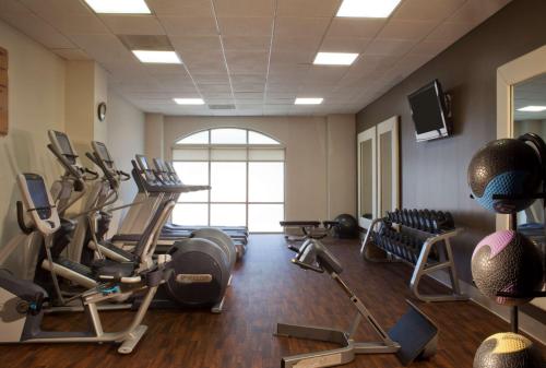 Embassy Suites by Hilton Houston Near The Galleria - image 14