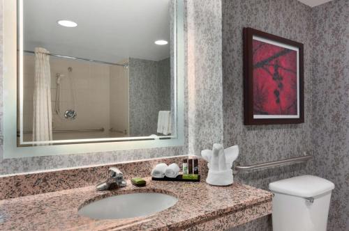 Embassy Suites by Hilton Dulles Airport - image 9