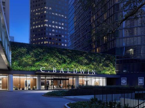 C. Baldwin, Curio Collection By Hilton