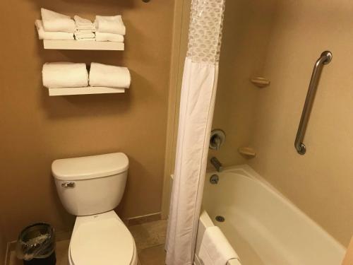 Hampton Inn & Suites Bloomington Normal - image 11